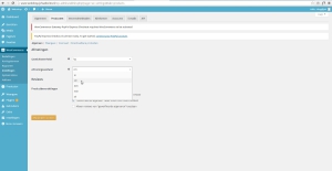 webshop bouwen