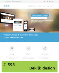 professionele wordpress Webshop laten maken met CMS